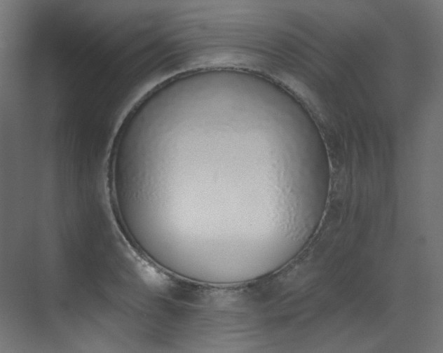 X0000073511086200607311312