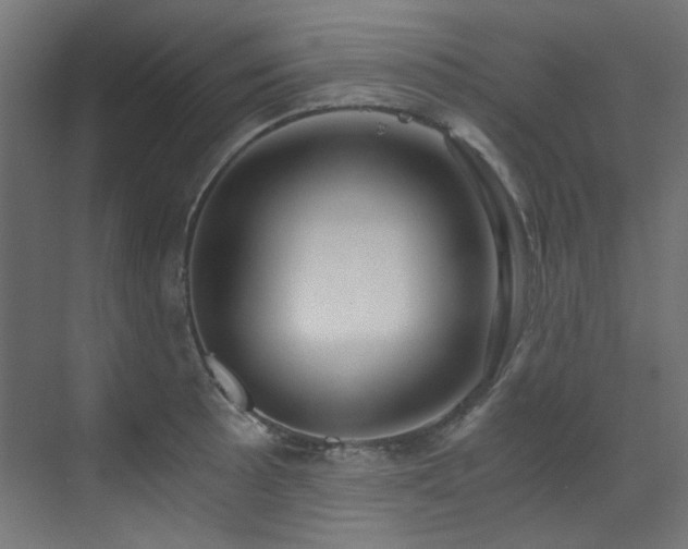 X0000073511089200607311312
