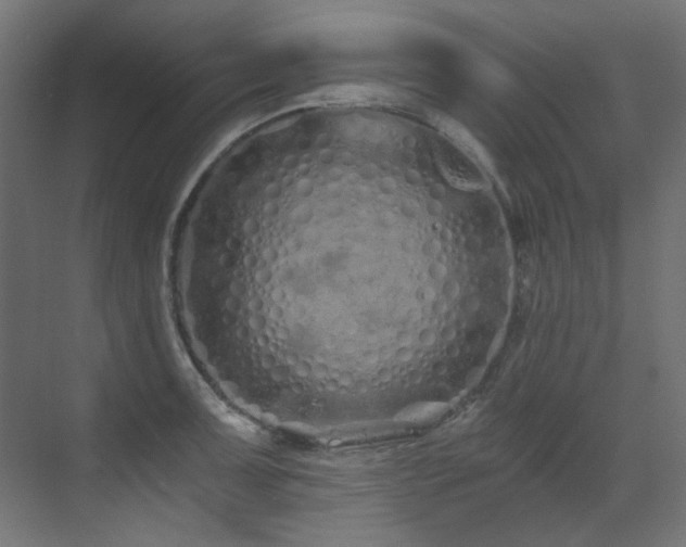 X0000073511091200607311312
