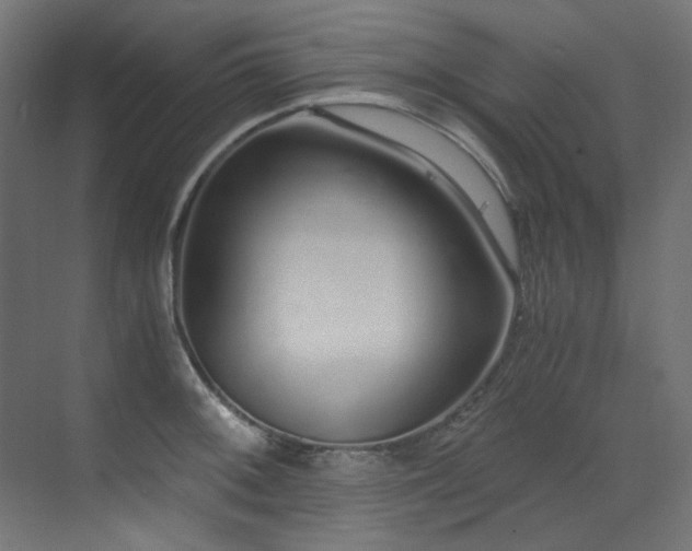 X0000073511092200607311312
