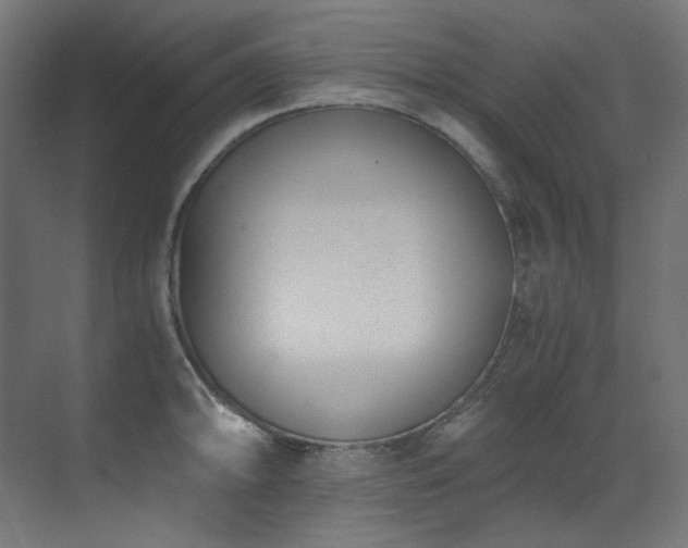 X0000073511094200607311312