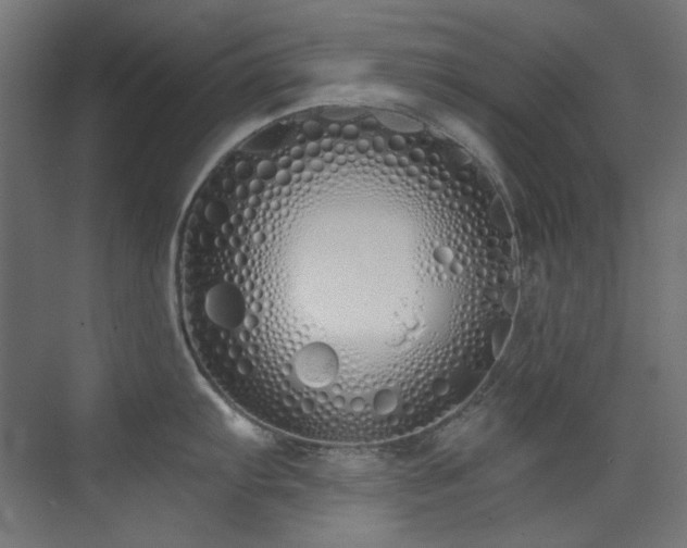 X0000073511103200607311312