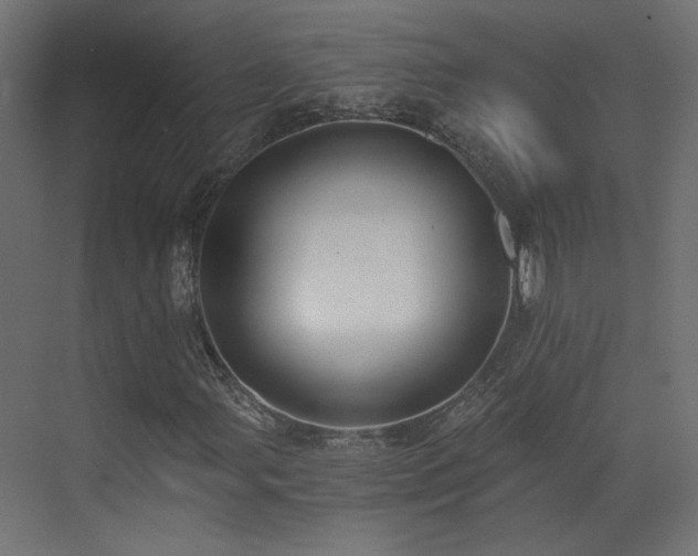 X0000073511107200607311311