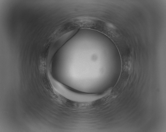 X0000073511108200607311311