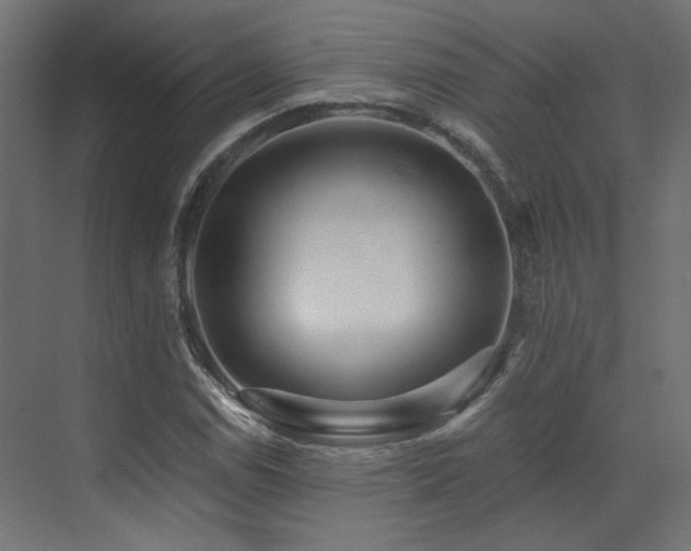 X0000073511114200607311311