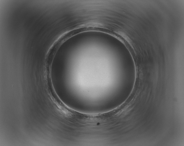 X0000073511115200607311311