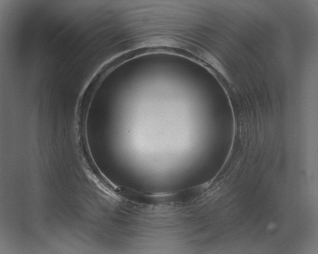 X0000073511116200607311311