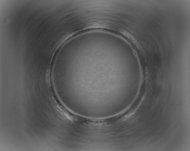 X0000073511121200607311311