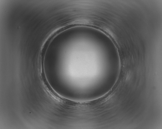 X0000073511123200607311311
