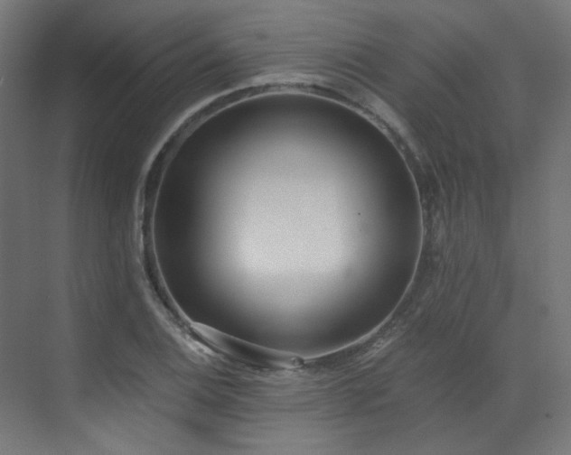 X0000073511124200607311311