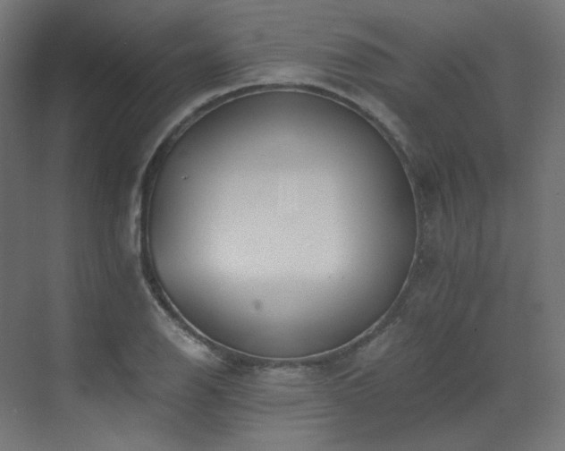X0000073511126200607311311