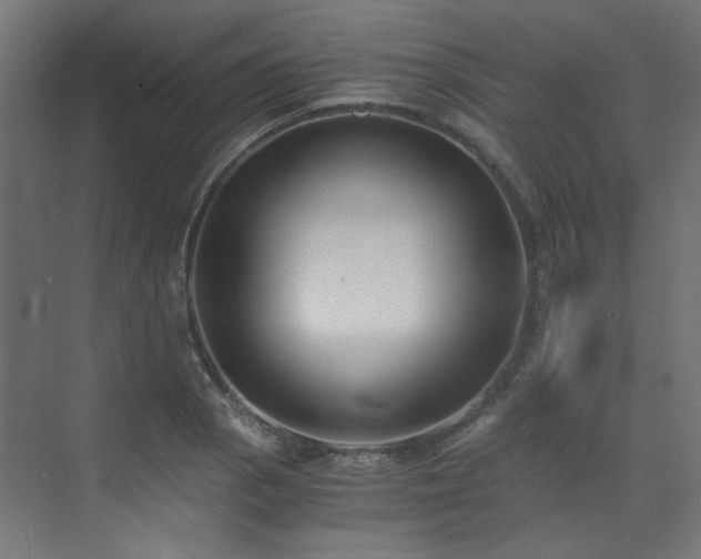 X0000073511129200607311311