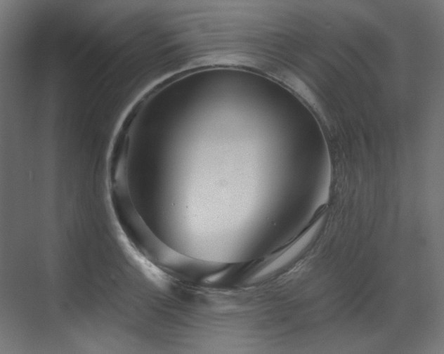 X0000073511132200607311311