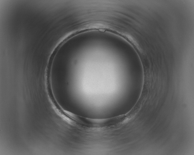 X0000073511134200607311312