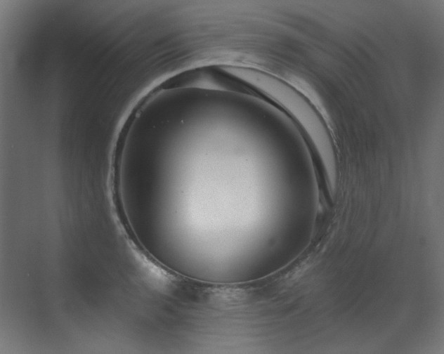 X0000073511136200607311312