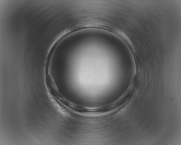 X0000073511138200607311312