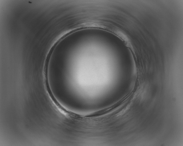X0000073511141200607311312
