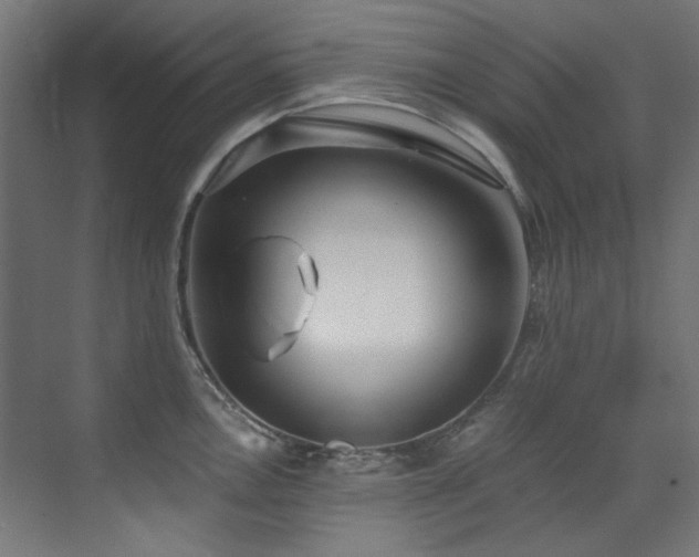 X0000073511146200607311312