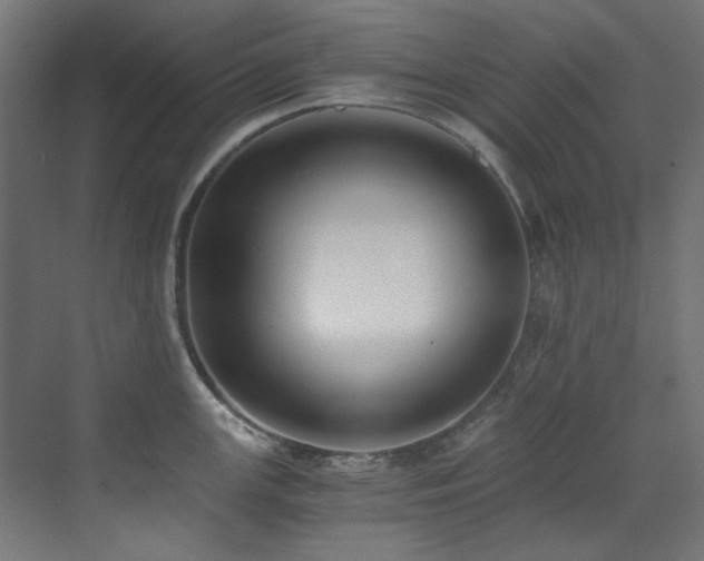 X0000073511147200607311312