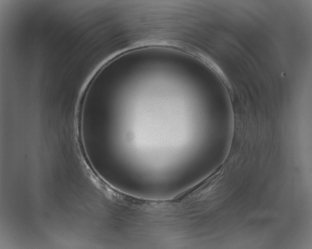 X0000073511148200607311312