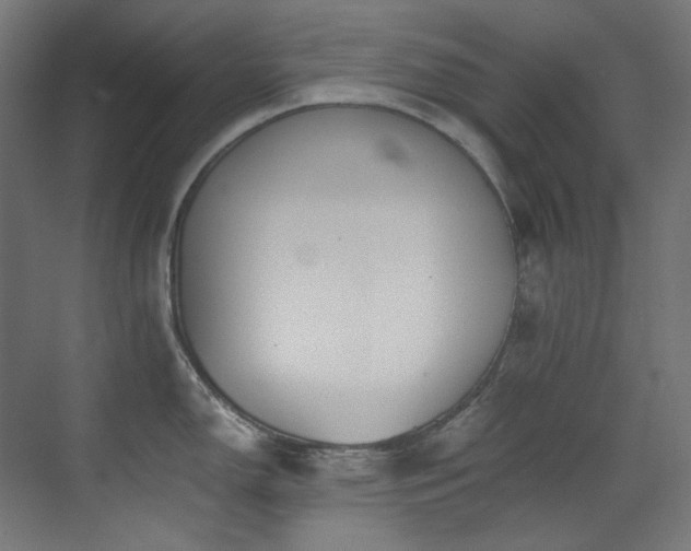 X0000073511150200607311312