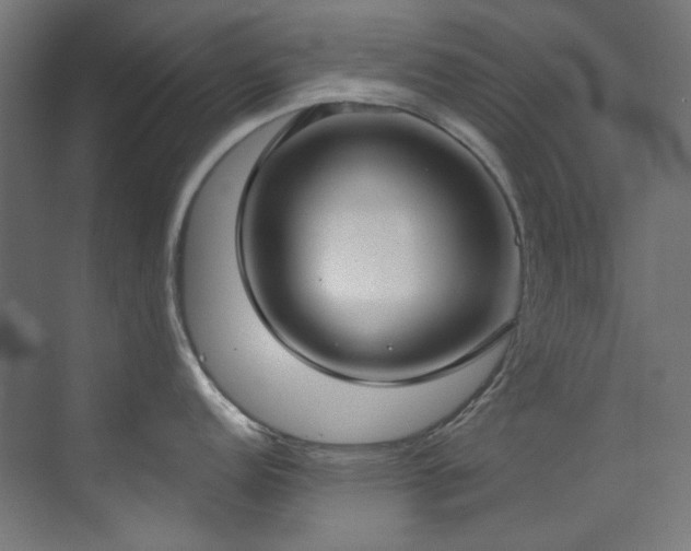 X0000073511152200607311312