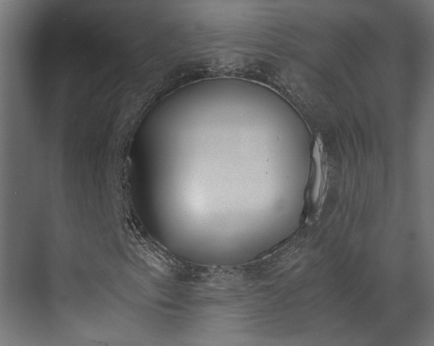 X0000073511153200607311311