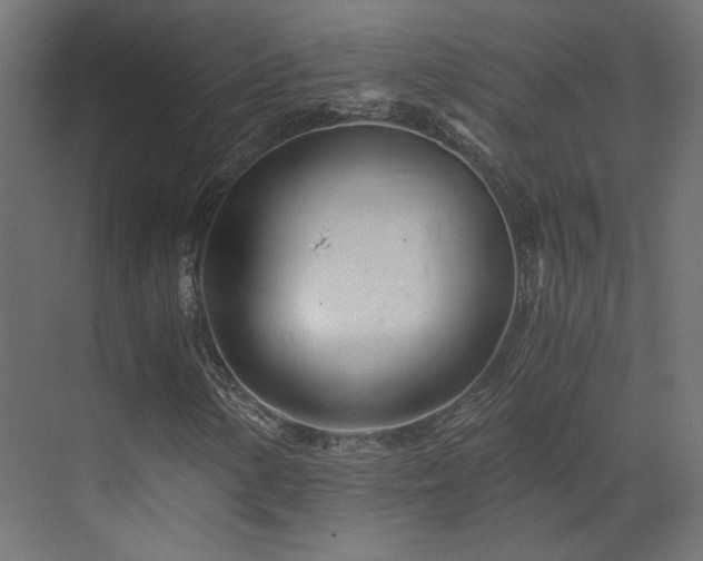 X0000073511154200607311311