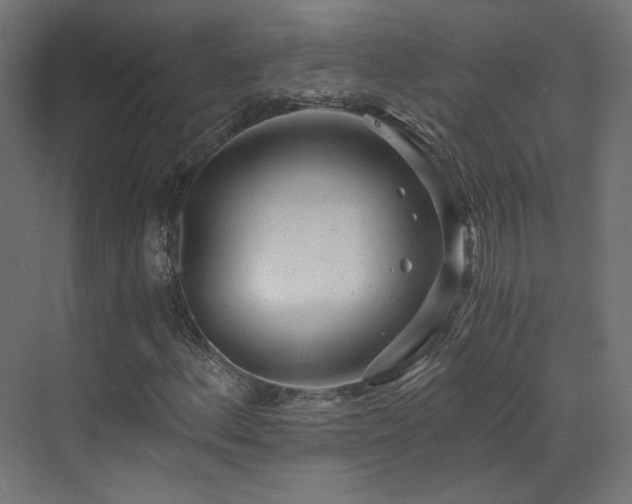 X0000073511156200607311311