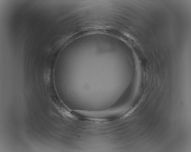 X0000073511161200607311311