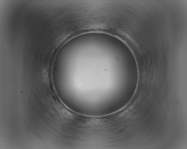 X0000073511162200607311311