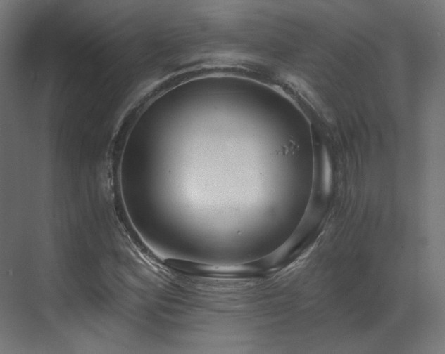 X0000073511164200607311311