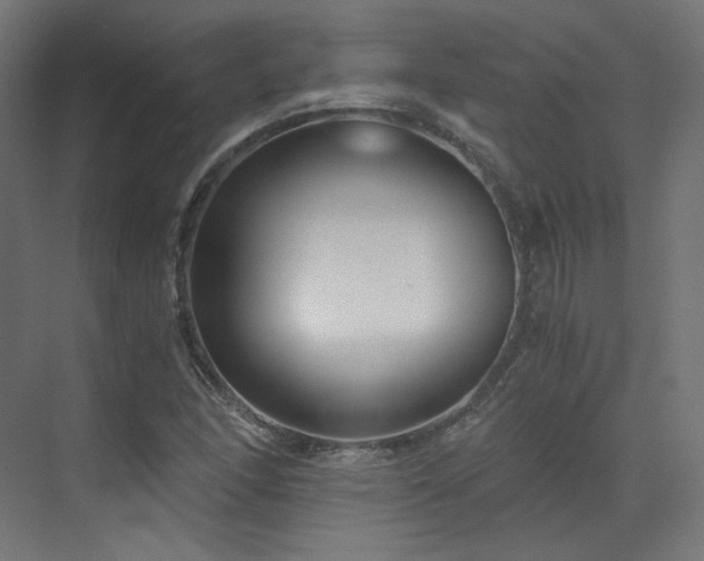 X0000073511166200607311311
