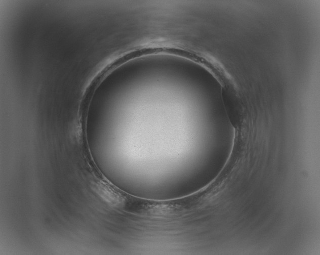 X0000073511167200607311311