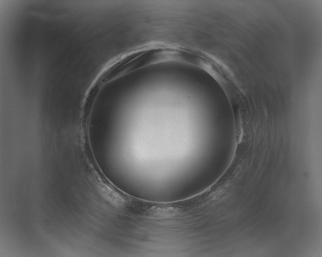 X0000073511168200607311311