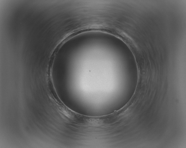 X0000073511170200607311311