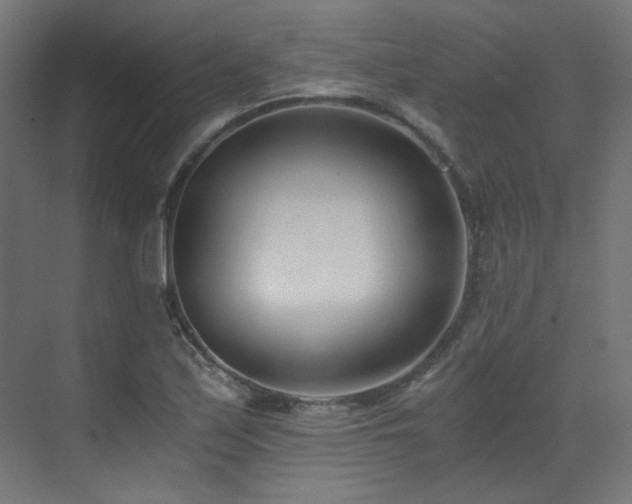 X0000073511171200607311311