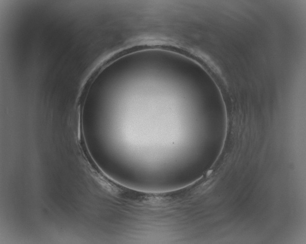 X0000073511175200607311311
