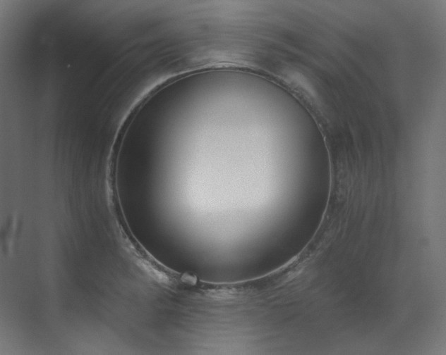 X0000073511182200607311311