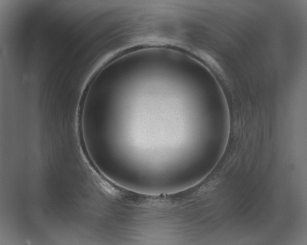 X0000073511183200607311311