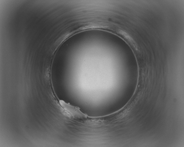 X0000073511185200607311310