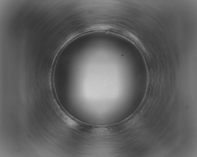 X0000073511186200607311310