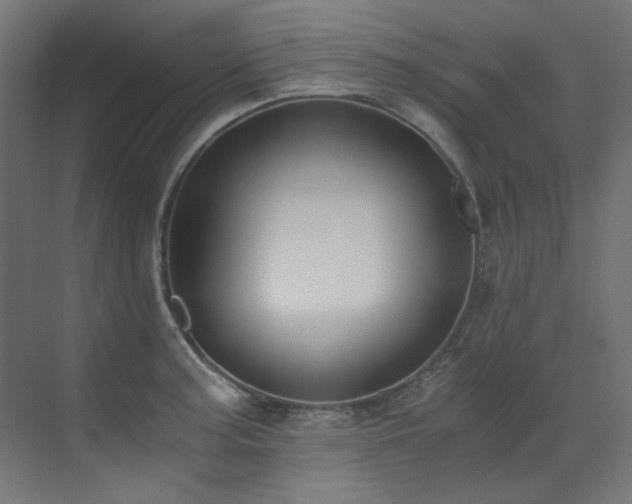X0000073511187200607311310