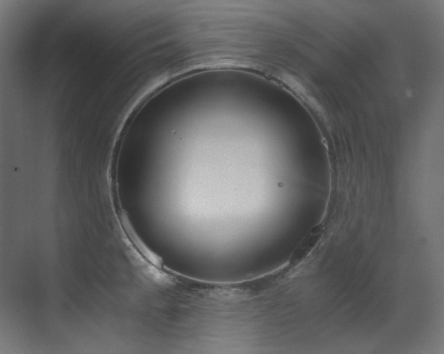 X0000073511189200607311310