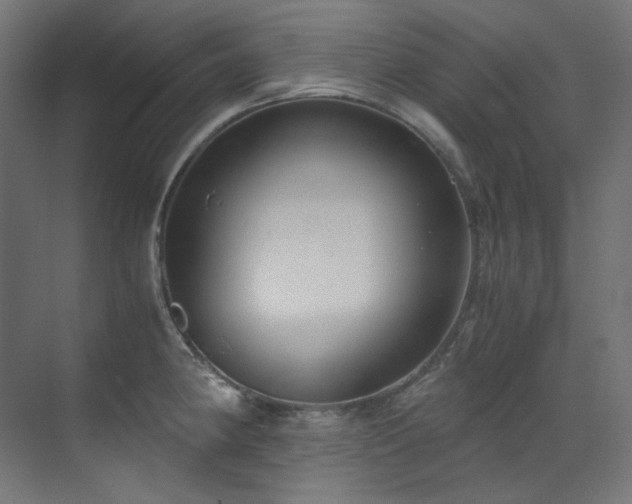 X0000073511190200607311310
