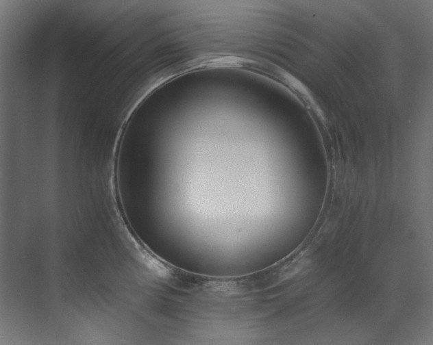 X0000073511194200607311310