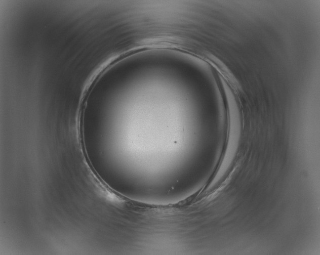 X0000073511196200607311310