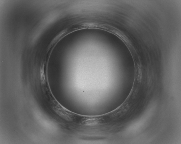 X0000073511198200607311310