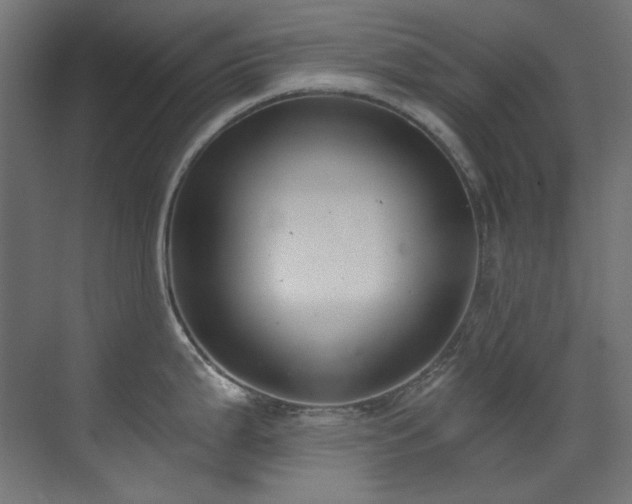 X0000073511199200607311310
