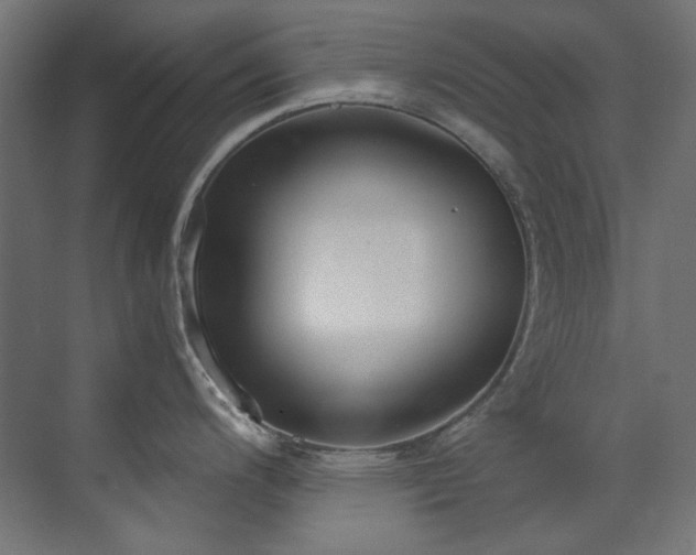 X0000073511200200607311310